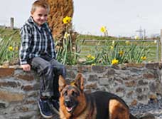 PersonalProtectionDogwithChild9295_000