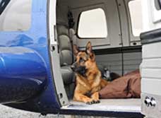 PersonalProtectiondogleavesusinhelicopter